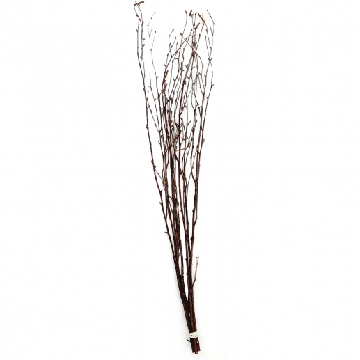 Påskris Grenar Av Björk - Längd: 50-60 cm