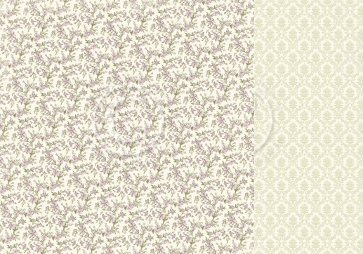 Papper Pion Days Gone By Moments to remember Design