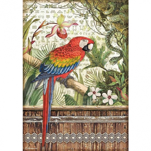 Rispapper A4 Stamperia - Amazonia - Parrot