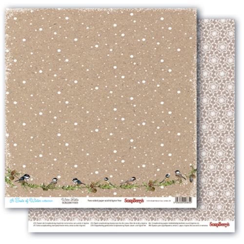 Papper ScrapBerrys A Taste of Winter Robin Scrapbooking