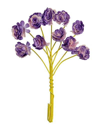 Pappersblommor Chrysanthemum 10 mm Violet st Pappersrosor