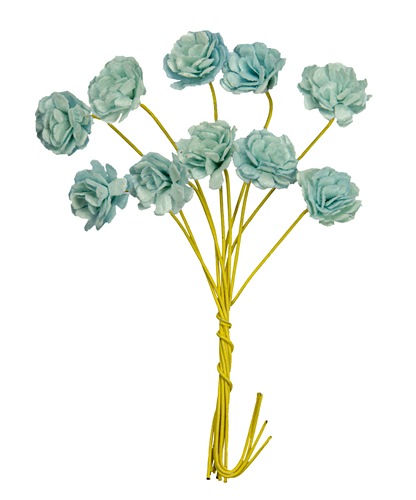 Pappersblommor Chrysanthemum 10 mm Light Blue st Pappersrosor
