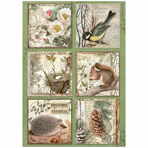 Decoupage Papper Stamperia - Forest
