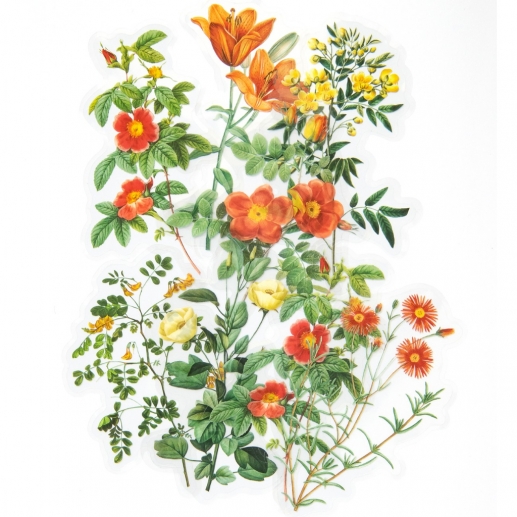 Die Cut Stickers - Acetate Orange Summer Garden - 12 st