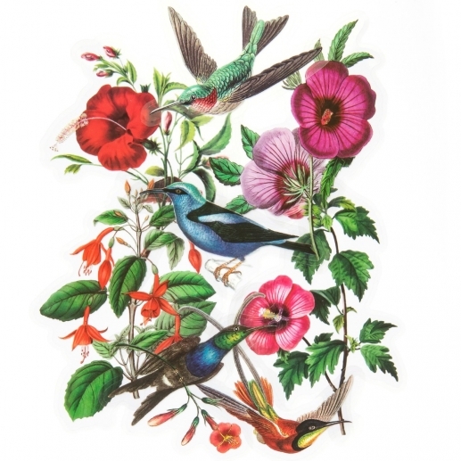 Die Cut Stickers - Acetate Hummingbirds And Hibiscus - 12 st