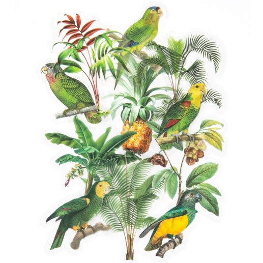 Die Cut Stickers - Acetate Green Parrots - 12 st