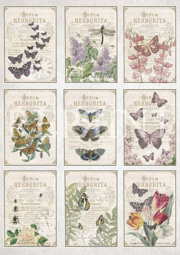 Vintage Foton A4 Reprint - Garden - Butterflies