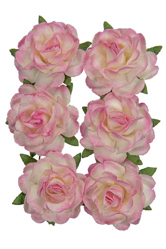 Mulberry pappersrosor Jubilee - 30 mm - White Pink - 6 st